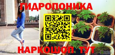 apvp Камышлов
