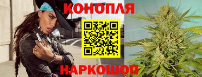 apvp Камышлов