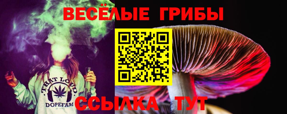 Псилоцибиновые грибы MAGIC MUSHROOMS Лесозаводск